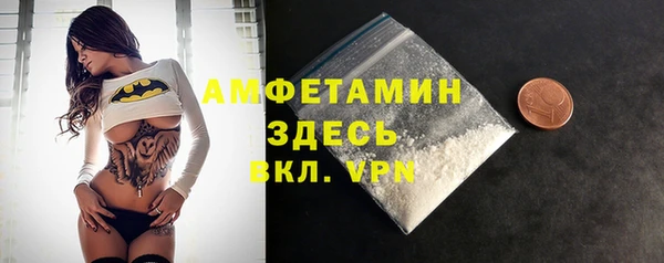 шишки Сясьстрой