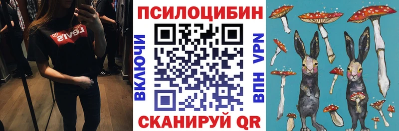 Псилоцибиновые грибы мухоморы Вельск